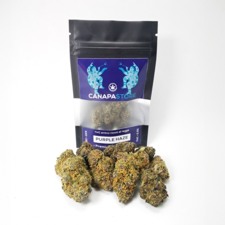 Purple Haze cbustina con canapa davanti dai colori violacei