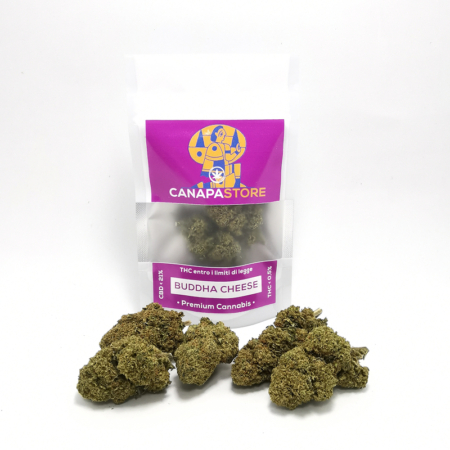 canapa green house buddha cheese con cime perfette