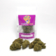 canapa green house buddha cheese con cime perfette